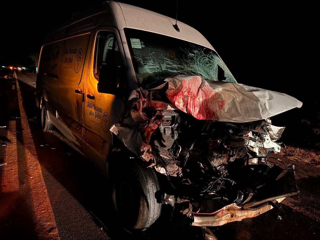 Van fica destruída após atropelar cavalos na rodovia Paulo Borges de Oliveira