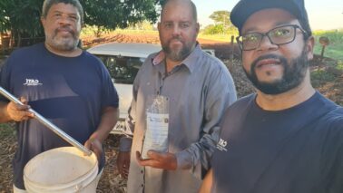 A CATI (Coordenadoria de Assistência Técnica Integral) desenvolve em todo o estado de São Paulo, o Programa Solo + Fértil.