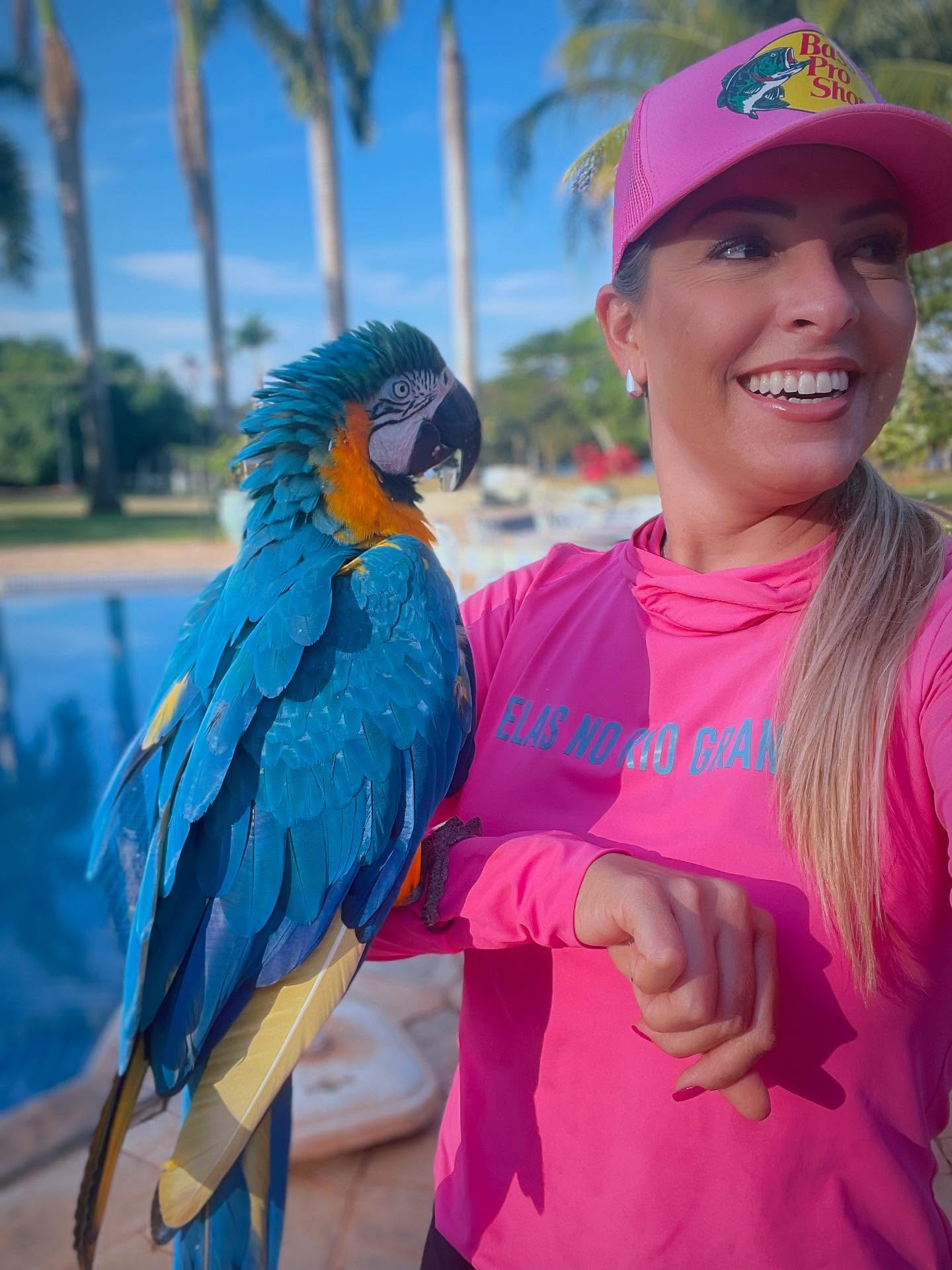 Ilustra mais