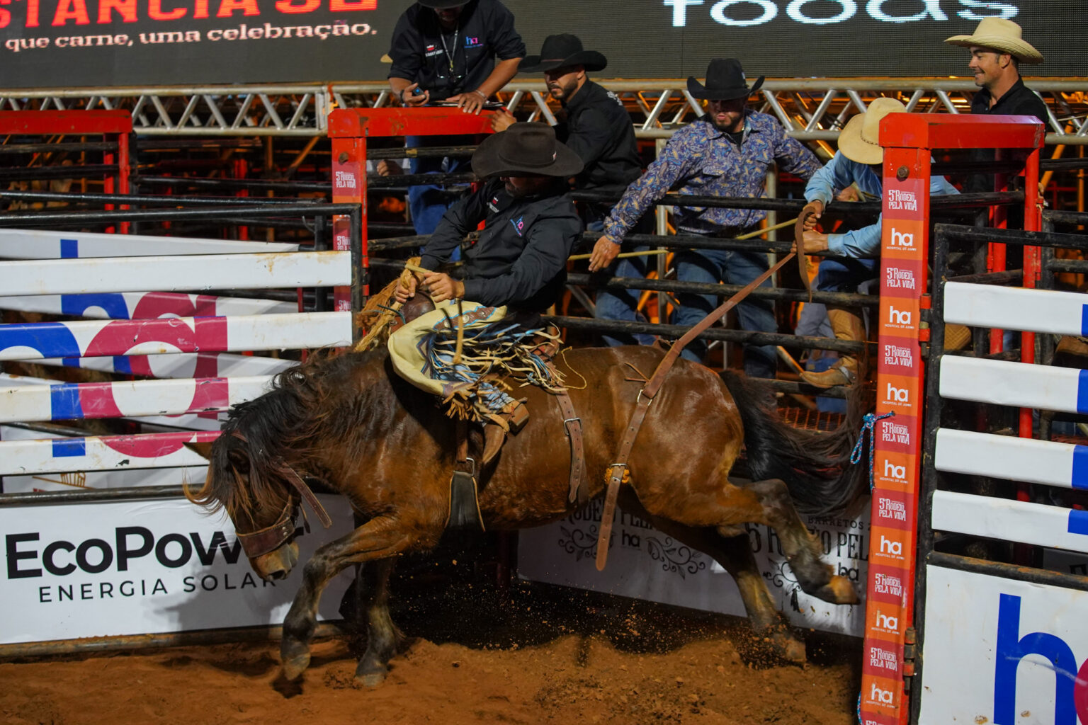 Montria Rodeio Mineiro é campeão no Cutiano e fatura caminhonete no 5º Rodeio