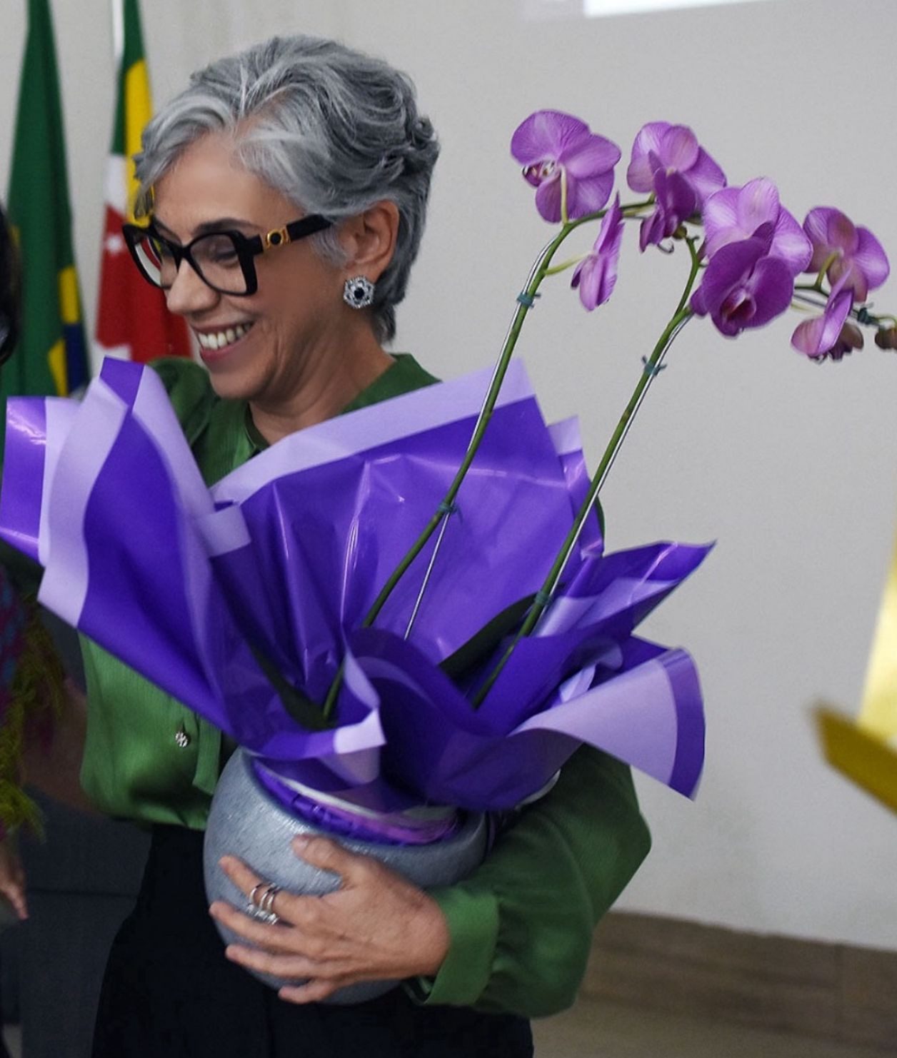 Novo Ciclo