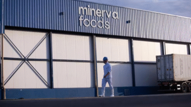 Minerva Foods é líder em exportação de carne bovina na América do Sul