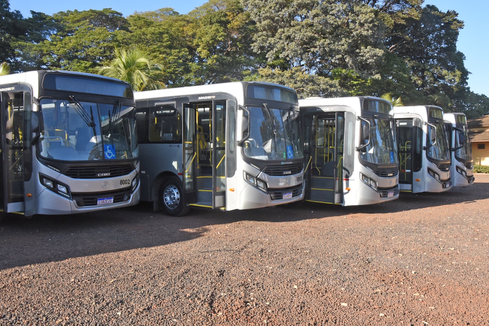 Prefeitura informa gratuidade no transporte coletivo nesta semana
