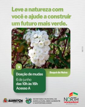 Árvores: Distribuição gratuita nesta sexta-feira Semana do Meio Ambiente termina com doação de mudas no North Shopping