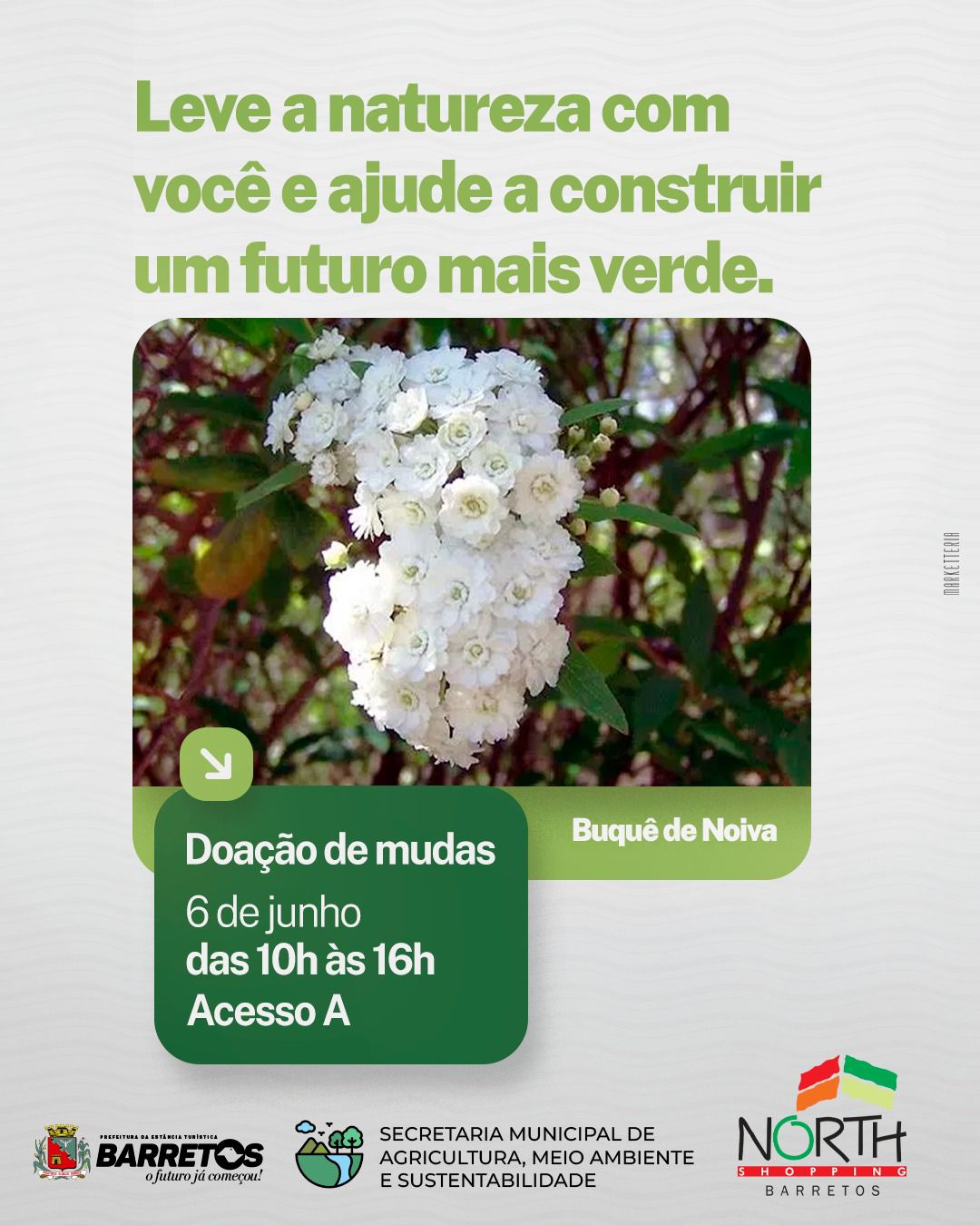 Semana do Meio Ambiente termina com doação de mudas no North Shopping  