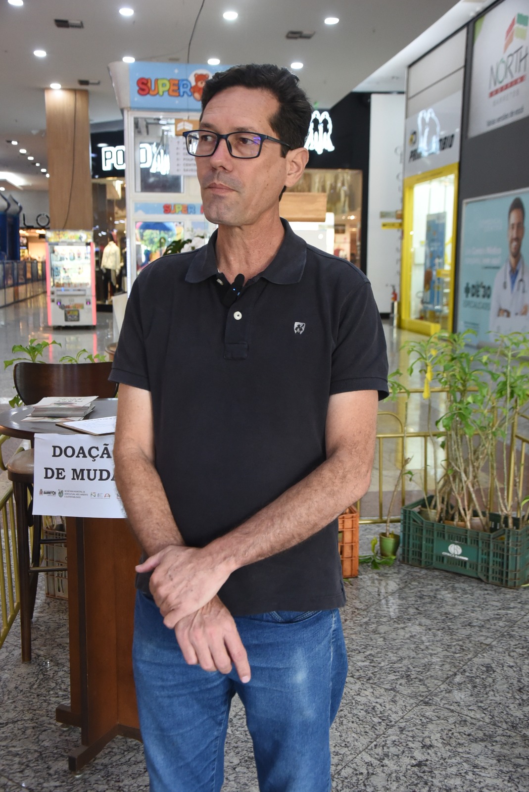 Cidade ainda tem baixa cobertura arbórea urbana