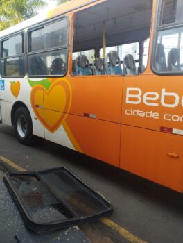 Passageira é presa após causar danos em ônibus (Foto: O Diário de Barretos) Passageira é presa após causar danos em ônibus (Foto: O Diário de Barretos)