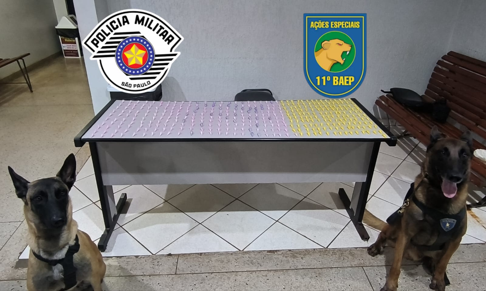 Polícia Militar encontra cocaína em buraco no conjunto Newton Sopa
