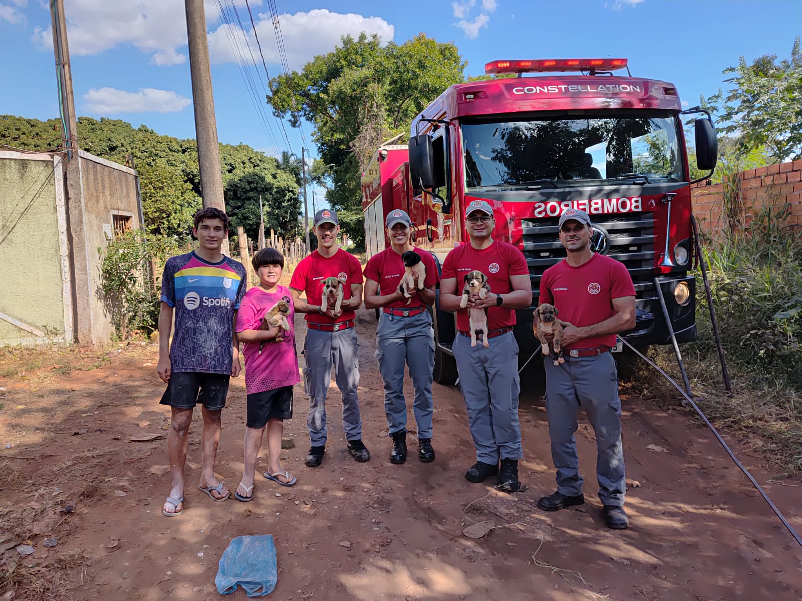 Bombeiros resgatam filhotes de cachorro em fossa