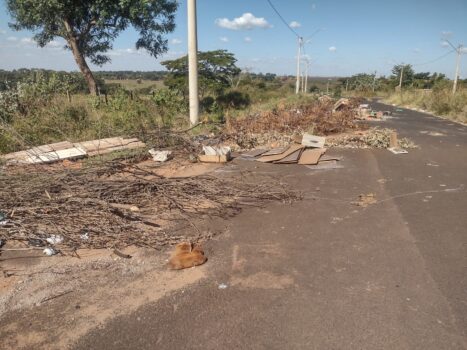 LIXÃO: Trecho de via pública tomado por lixo e entulho chama a atenção Trecho de avenida vira ponto de descarte irregular