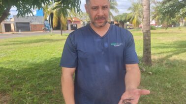 A chegada das férias escolares e com essa época do ano onde os ventos são mais intensos, aumenta consideravelmente o número de crianças, adolescentes e até de adultos realizando a soltura de pipas na cidade de Barretos.