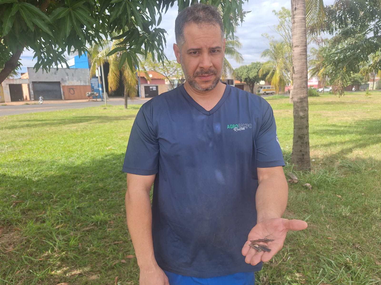 Comerciante demonstra preocupação com uso de lâminas para soltura de pipas
