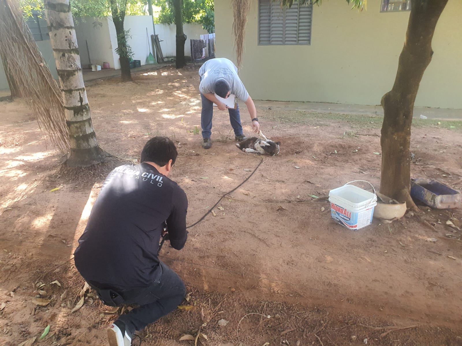 Polícia prende suspeito de maus-tratos contra animal