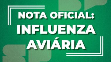 SP confirma caso isolado de Influenza Aviária em ave silvestre