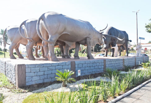 ATRATIVO: Monumento antes mesmo de ser inaugurado já atrai visitantes de vários lugares Secretário inaugura Monumento ao Boi Soberano neste domingo