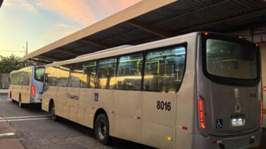 Secretaria de Trânsito informou que nova empresa opera com 20 ônibus (Foto: Divulgação)