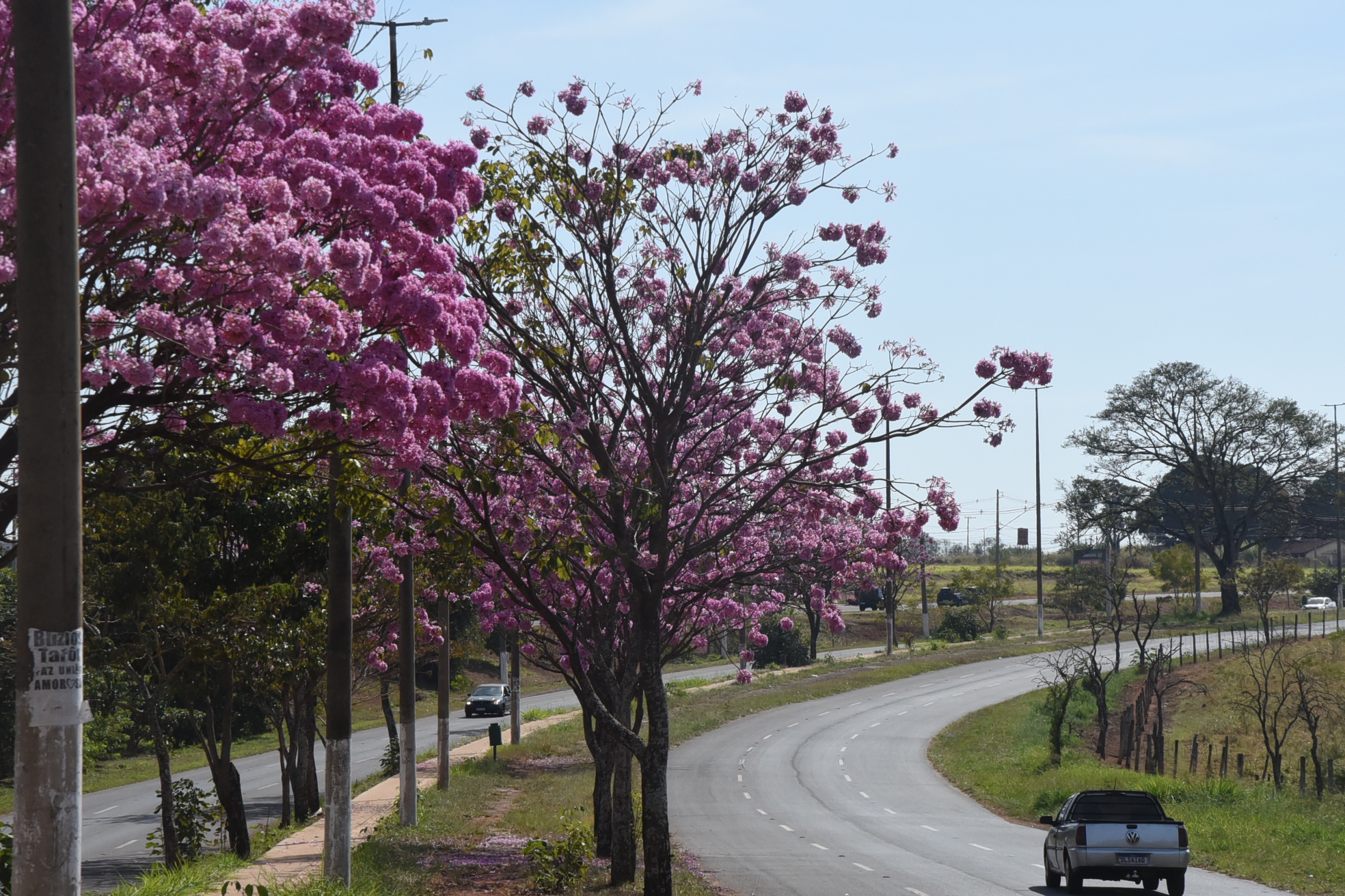 Estação da Primavera começa na segunda com mudança no clima