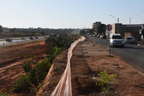 TIN_7556 Após vários anos plantando, regando e cuidando de mais de 100 árvores plantadas em um trecho às margens da avenida dos Maçons e rodovia Brigadeiro Faria Lima, onde ocorreu o corte anunciado de cerca de 100 árvores pela concessionária Ecovias Noroeste Paulista.