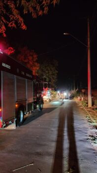 Bombeiros atendem ocorrência de queda de árvore na Roberto Rios (Foto: O Diário de Barretos) Bombeiros atendem ocorrência de queda de árvore na Roberto Rios (Foto: O Diário de Barretos)