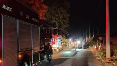 Bombeiros atendem ocorrência de queda de árvore na Roberto Rios (Foto: O Diário de Barretos)