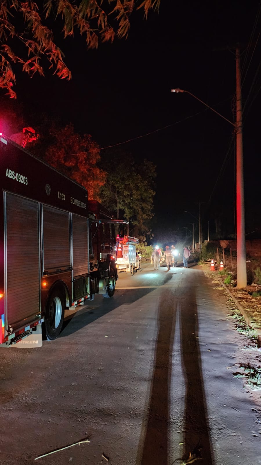 Bombeiros atendem ocorrência de queda de árvore na Roberto Rios