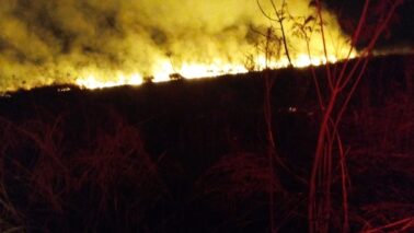 Incêndio destrói área de mato em fazenda do Incra (Foto: O Diário de Barretos)