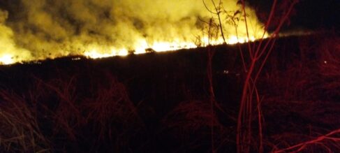 Incêndio destrói área de mato em fazenda do Incra (Foto: O Diário de Barretos) Incêndio destrói área de mato em fazenda do Incra (Foto: O Diário de Barretos)