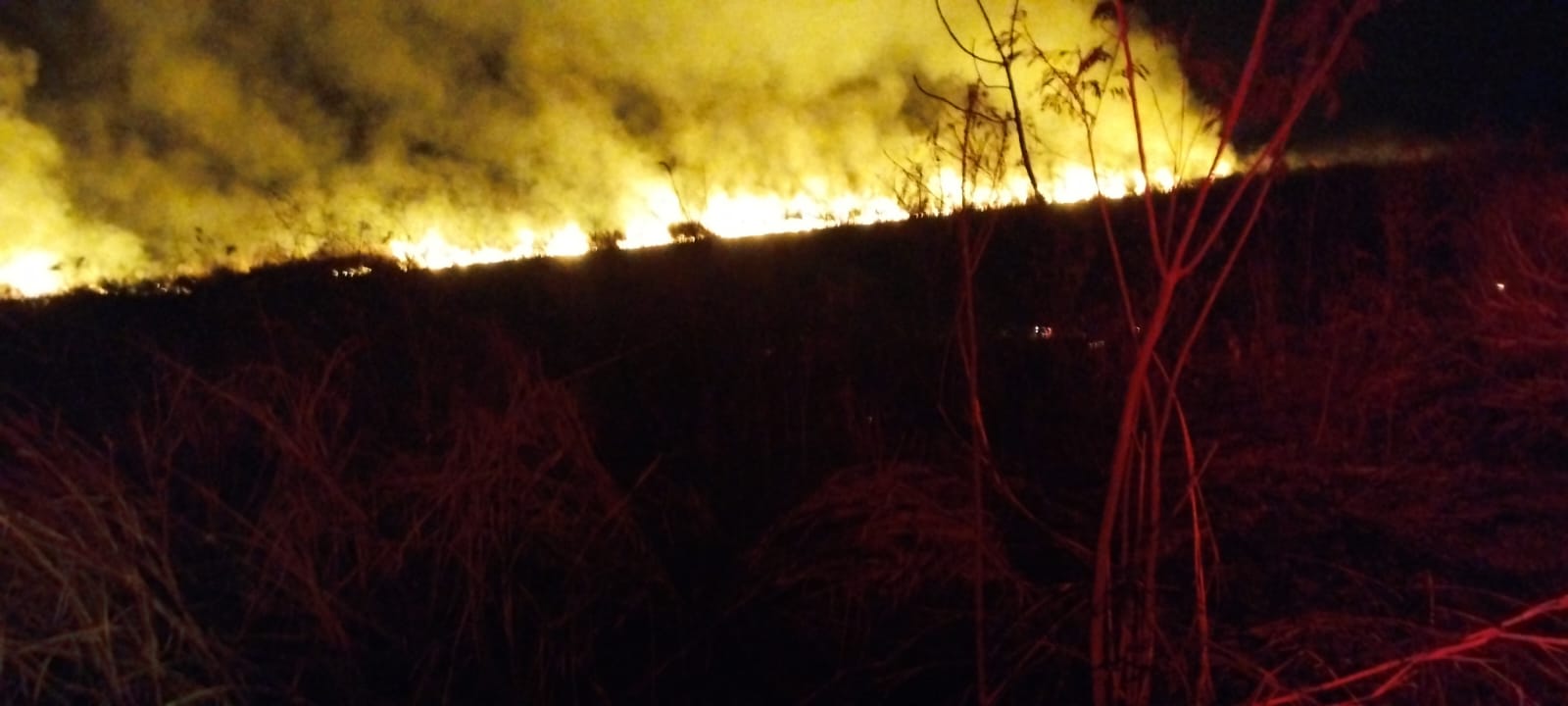 Incêndio destrói área de mato em fazenda do Incra em Colômbia