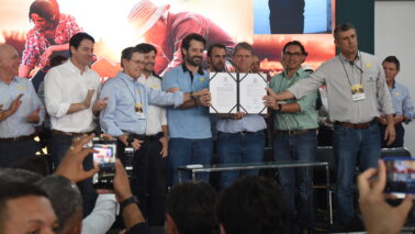 A 26ª Coopercitrus Expo 2025 foi aberta oficialmente na manhã desta segunda-feira (21), com a presença do Governador de São Paulo, Tarcísio de Freitas, acompanhado do secretário de Agricultura, Guilherme Piai, o presidente da ALESP, André do Prado