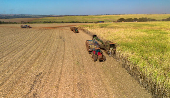 Colheita de cana em área da Tereos na região de Barretos