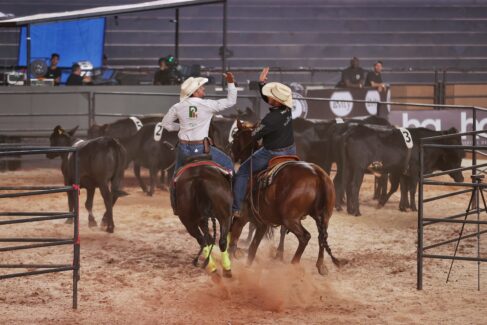IMG-20250821-WA0848 Campeões do Team Penning conquistam vitória com tempos abaixo de 22 segundos