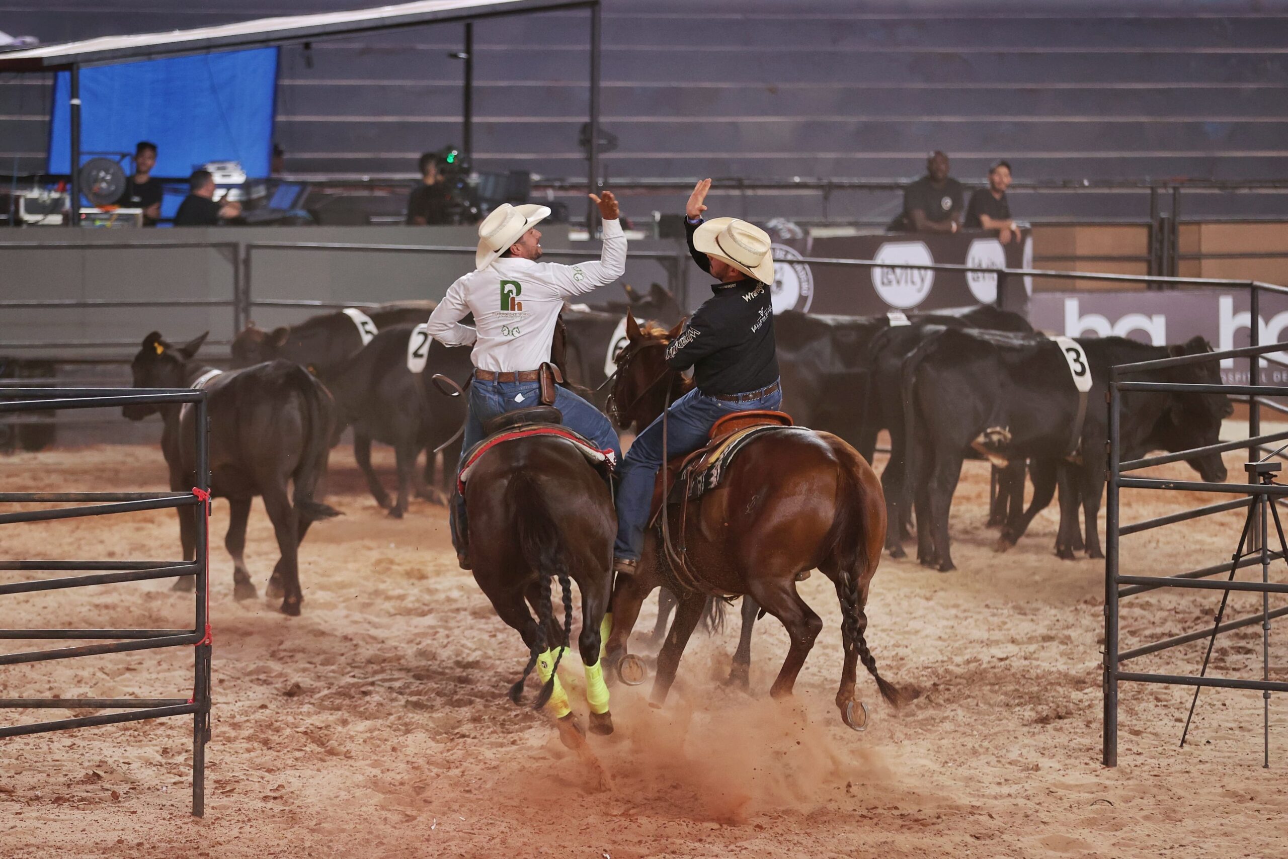 Campeões do Team Penning conquistam vitória com tempos abaixo de 22 segundos