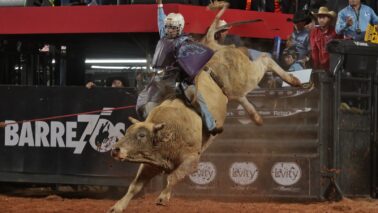 Competidores de Ribeirão Preto e Amparo empatam na primeira noite da final da Liga Nacional de Rodeio