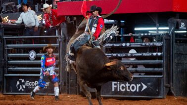 Mineiro de Cantagalo vence montarias na terceira noite do Barretos International Rodeo
