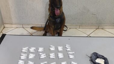 Polícia Militar encontra cocaína em terreno no Dom Bosco (Foto: O Diário de Barretos)