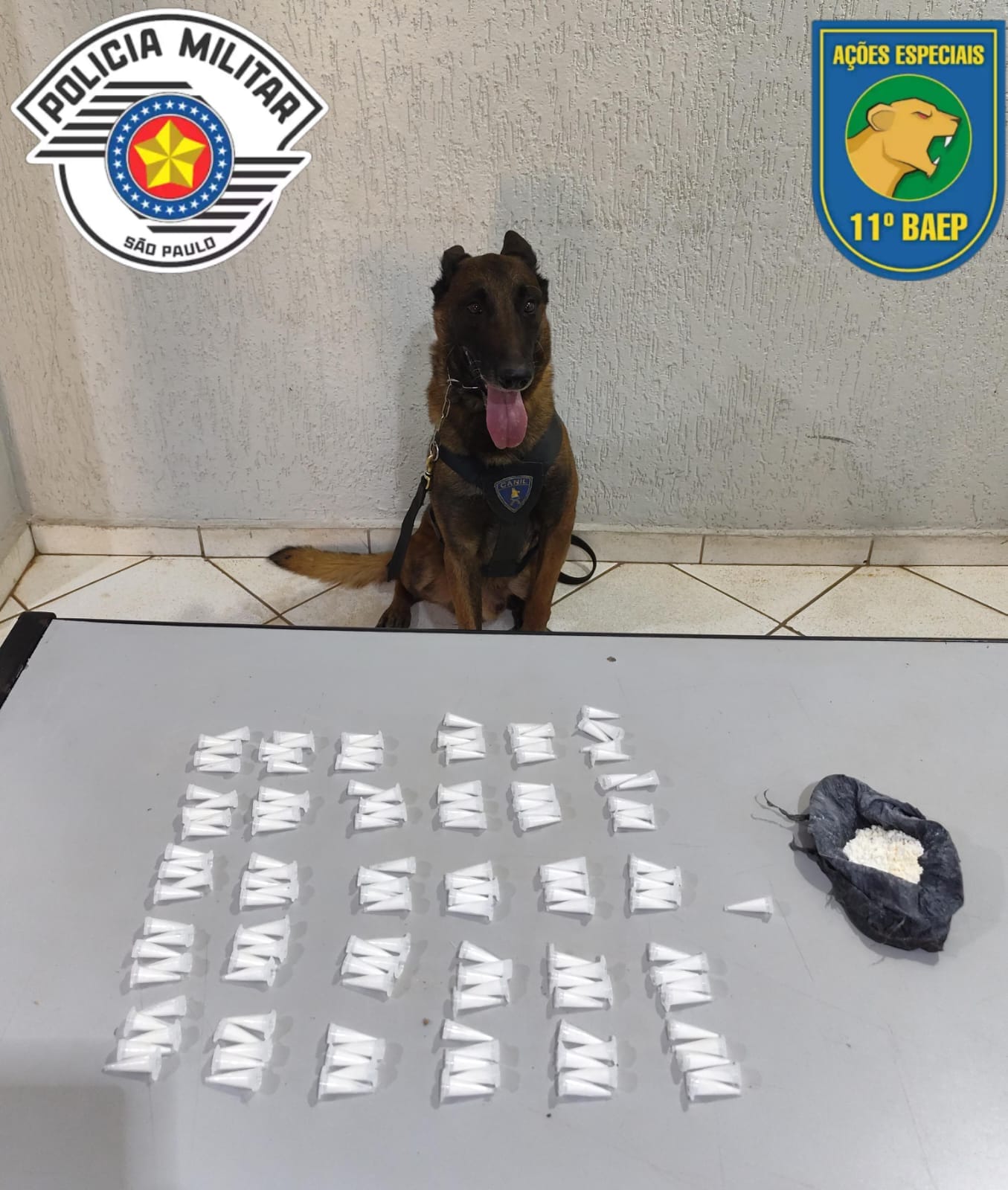 Polícia Militar encontra cocaína em terreno no Dom Bosco