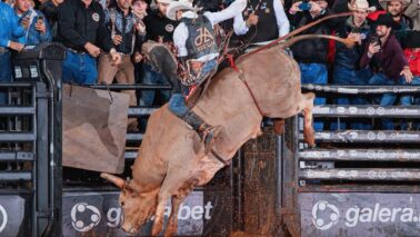 Abrindo as competições da segunda semana de competições esportivas da 70ª Festa do Peão Barretos, as atrações hoje (25), no estádio de Rodeios do Parque do Peão
