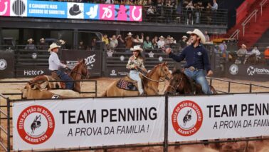 Uma competição que é muito tradicional na Arena de Rodeios do Parque do Peão é a disputa do Team Penning.