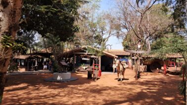 Concurso Queima do Alho reúne comitivas tradicionais neste domingo