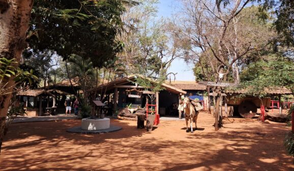 Concurso Queima do Alho reúne comitivas tradicionais neste domingo