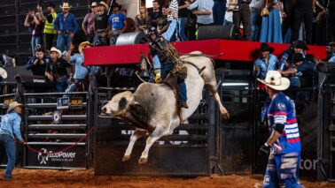 A final da Liga Nacional de Rodeio teve início na noite desta segunda-feira (25), aniversário de Barretos e define hoje os competidores que irão para a grande final, agendada para sábado (30), no estádio de rodeios do Parque do Peão.