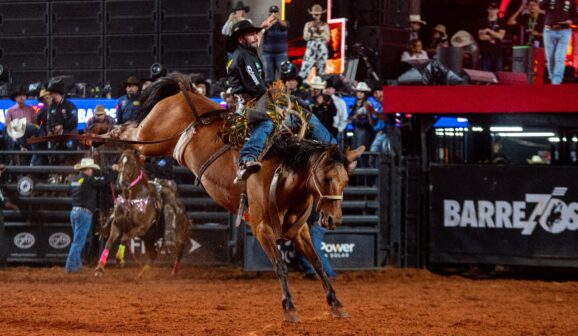 A 70ª Festa do Peão de Barretos chega ao fim neste domingo (31), após 11 dias de muitas atrações no Parque do Peão.