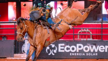 Na abertura das montarias em cavalos no estilo Cutiano, na noite de quinta-feira (28), dentro das competições do 32º Barretos International Rodeo, o competidor de Piracicaba-SP, Fabiano Conceição