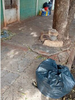 lixos Os moradores que residem na avenida 39, entre as ruas 04 e 08, no Bom Jesus enviaram fotos do lixo acumulado ao longo da via pública com vários sacos de lixo nas calçadas.