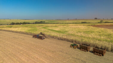 Proprietários rurais devem apresentar a declaração do Imposto Territorial Rural