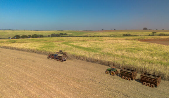 Proprietários rurais devem apresentar a declaração do Imposto Territorial Rural