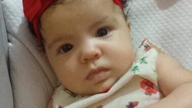 Explode o fofurômetro