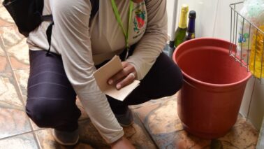 Setembro começa sem internações por dengue em Barretos