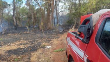Bombeiros apagam incêndio em mata no Luís Spina (Foto: O Diário de Barretos) Bombeiros apagam incêndio em mata no Luís Spina (Foto: O Diário de Barretos)