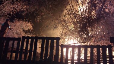 Um incêndio de grandes proporções atingiu uma grande área de vegetação na região do Hospital de Amor na noite de quinta-feira (11), por volta das 23h.